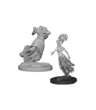 Miniaturas D&D Ghost & Banshee
