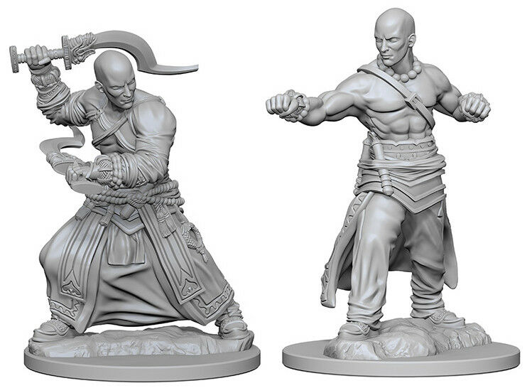 Miniaturas Pathfinder Human Male Monk