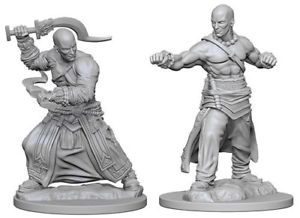 Miniaturas Pathfinder Human Male Monk