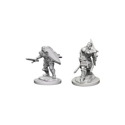 Miniaturas D&D Human Paladin