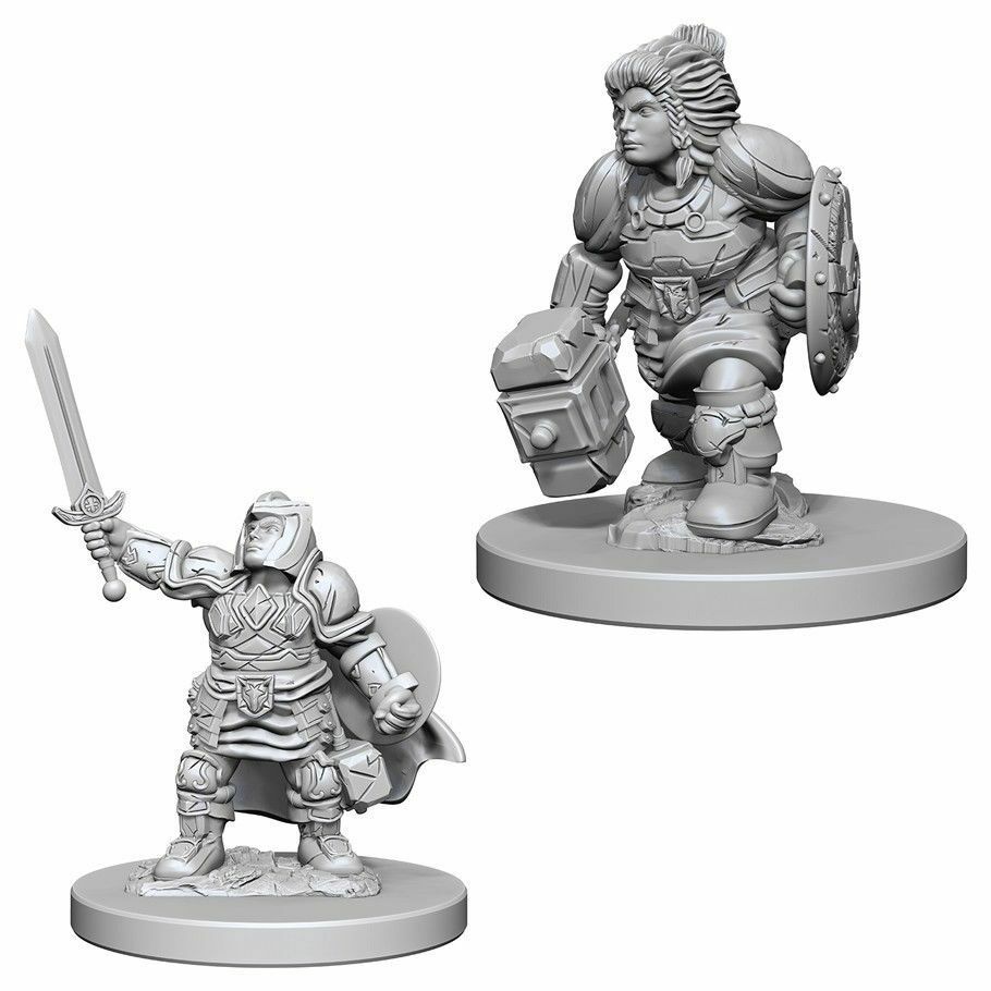 Miniaturas D&D Dwarf Female Paladin