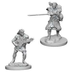 Miniaturas D&D Human Bard
