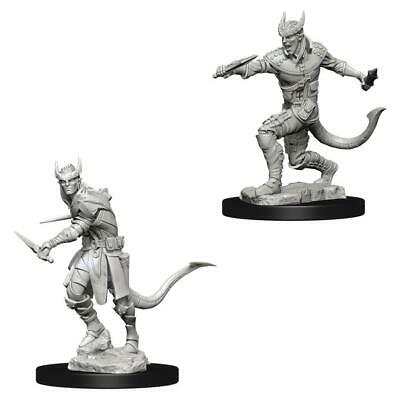 Miniaturas D&D Male Tiefling Rogue