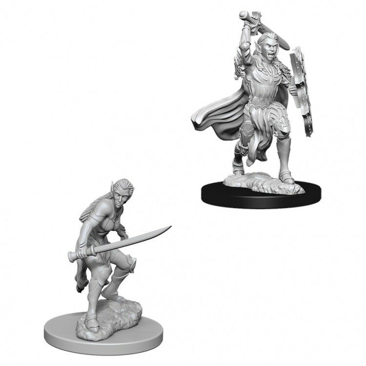 Miniaturas D&D Elf Female Fighter