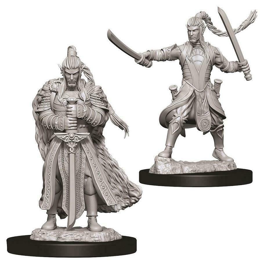 Miniaturas D&D Elf Male Paladin