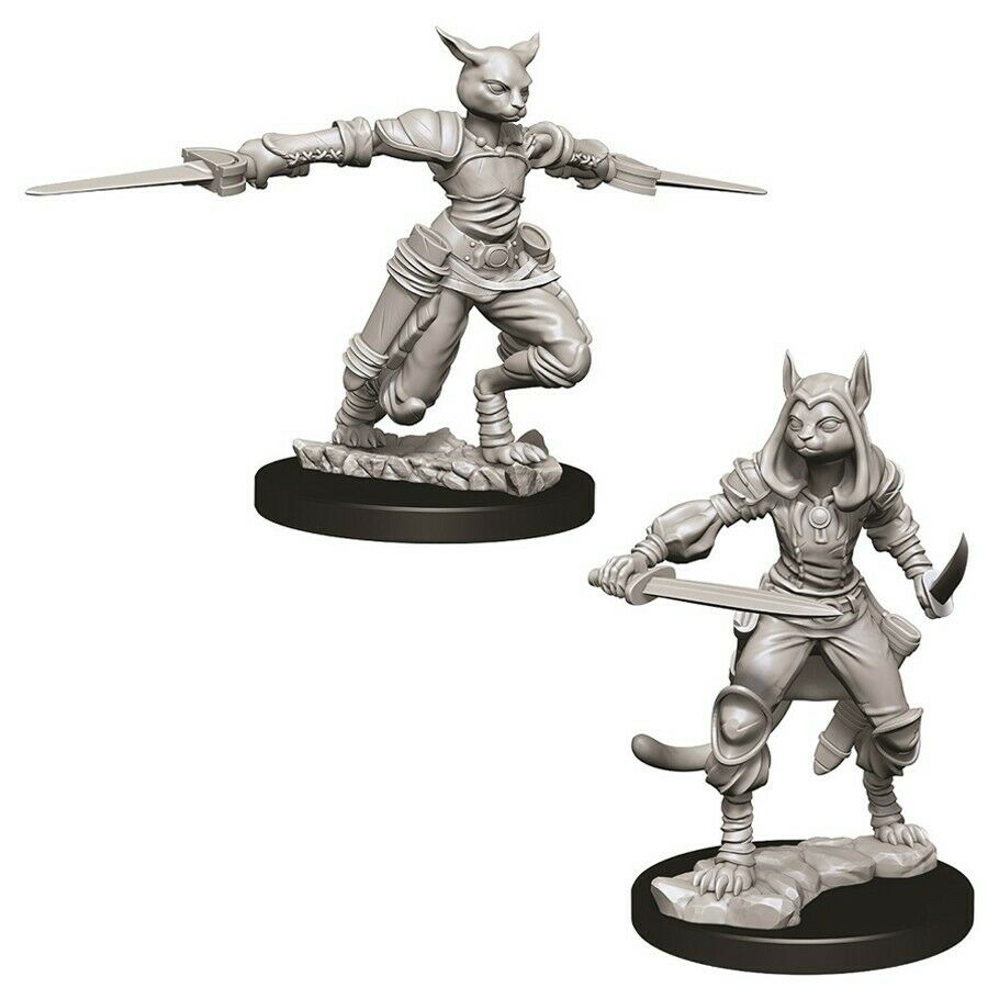 Miniaturas D&D Tabaxi Rogue