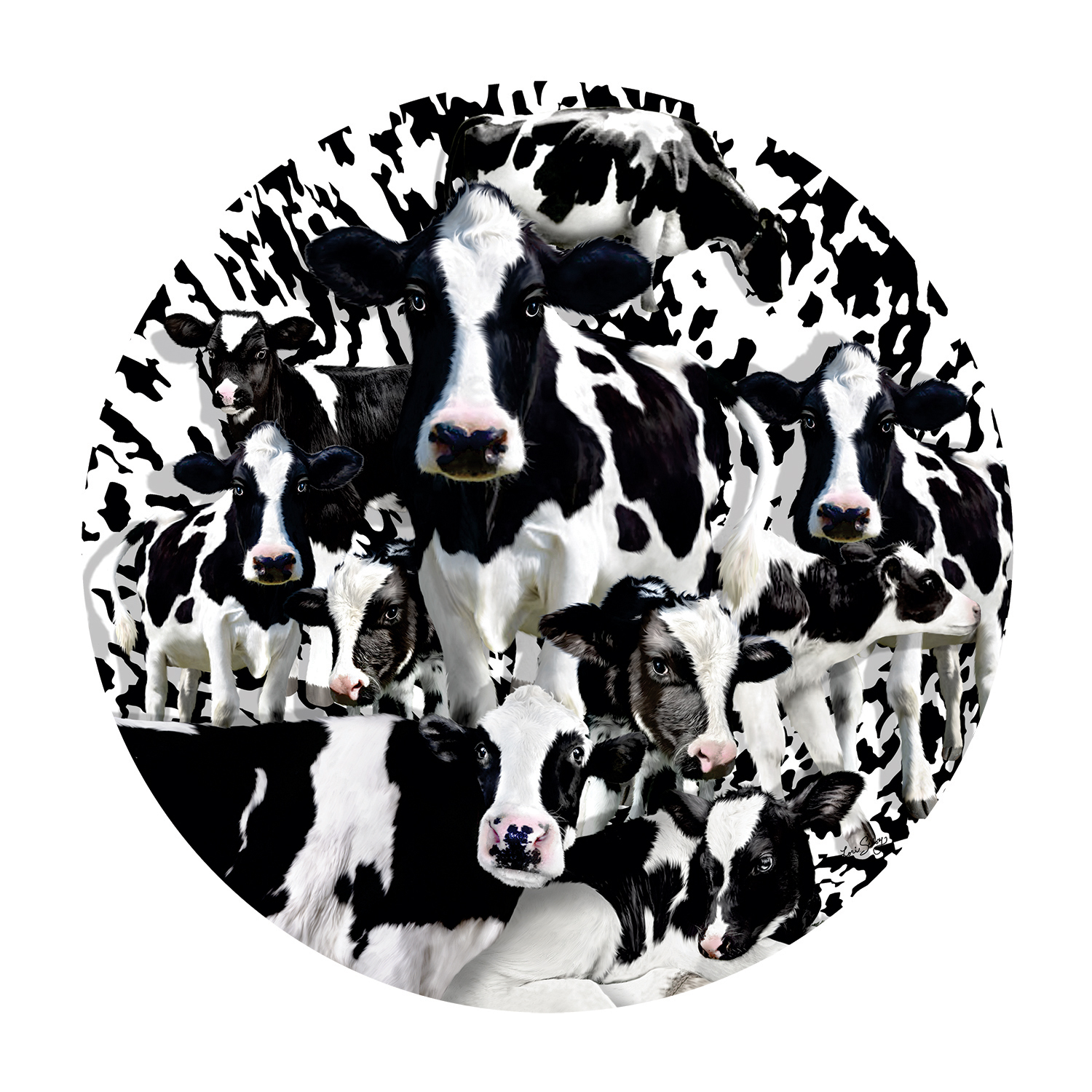 SunsOut 1000 pzs. A Herd of Cows