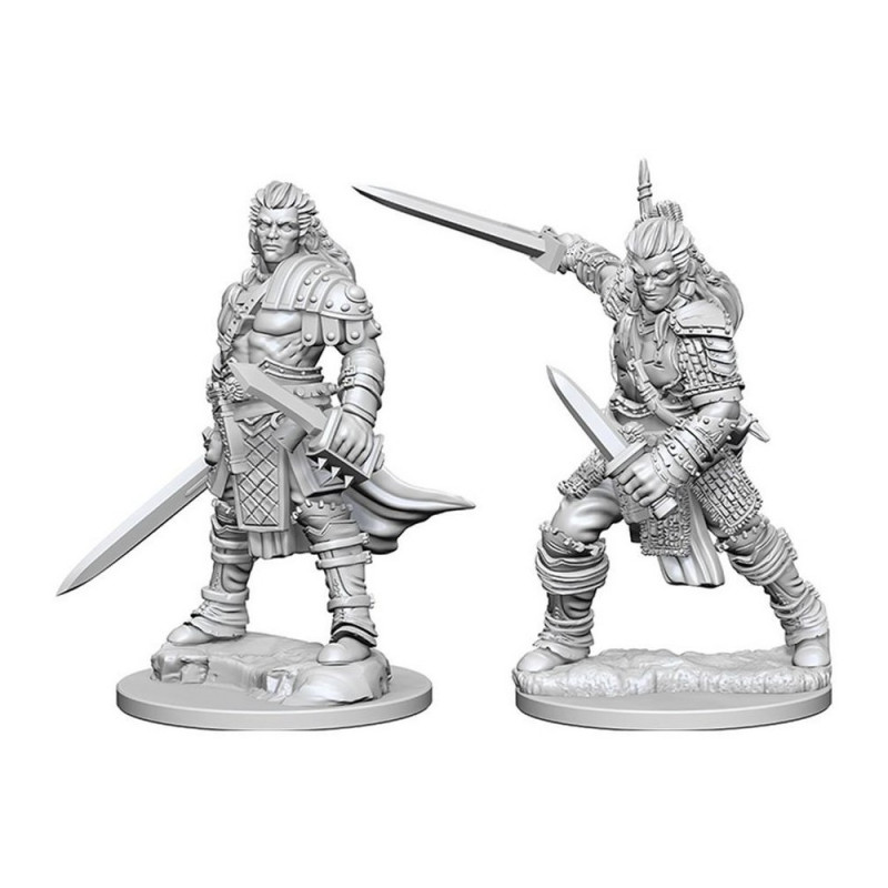 MINIATURAS PATHFINDER: HUMAN MALE FIGHTER