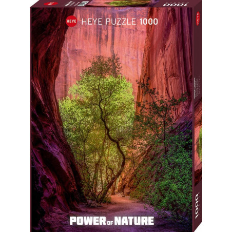 Puzzle 1000 pzs. Power of Nature, Singing Canyon